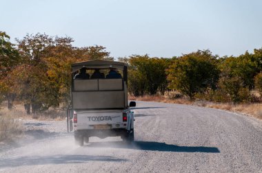 Etosha Ulusal Parkı, Namibya - 30 Temmuz 2022. Namibya 'daki Etosha Ulusal Parkı' ndaki bir safari aracının telefonu..
