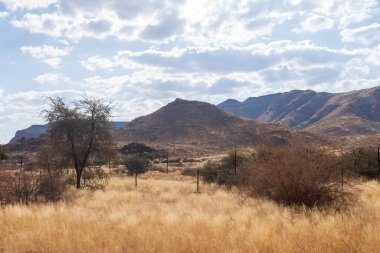 Güney Namibya çölünün manzarası..