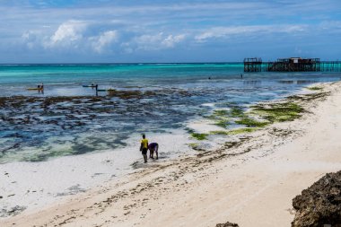 Zanzibar, Tanzanya - 7 Ağustos 2024. Doğu Afrika 'da popüler bir turizm beldesi olan Zanzibar' ın kıyı şeridine yakın.