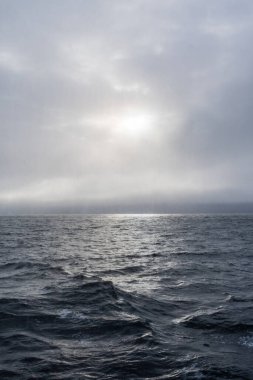 Antarktika yarımadası boyunca Liege adası yakınlarında sisli bir manzara.