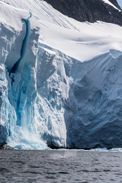 Buz tabakasından buzağı kopan dev bir buz kütlesinin telefonu. Graham Geçidi, Charlotte Körfezi yakınında, Antarktika Yarımadası 'nda.