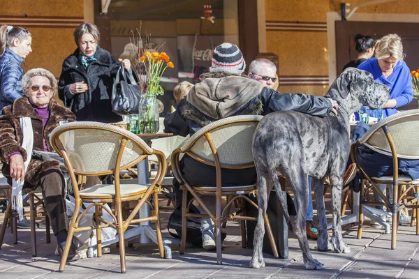 Nice, Francja, na 13 stycznia 2016 r. Stelaże ulicznych kawiarni na placu Cours Saleya. Odwiedzający z big dog odpocząć w kawiarni — Zdjęcie stockowe