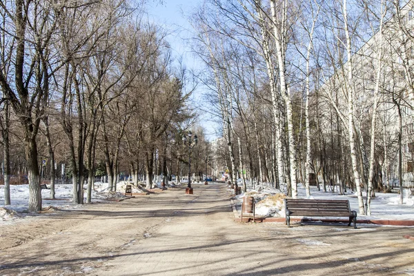 Poesjkino, Rusland, op 13 maart 2016. Stad landschap in het vroege voorjaar. Bomen in de boulevard — Stockfoto