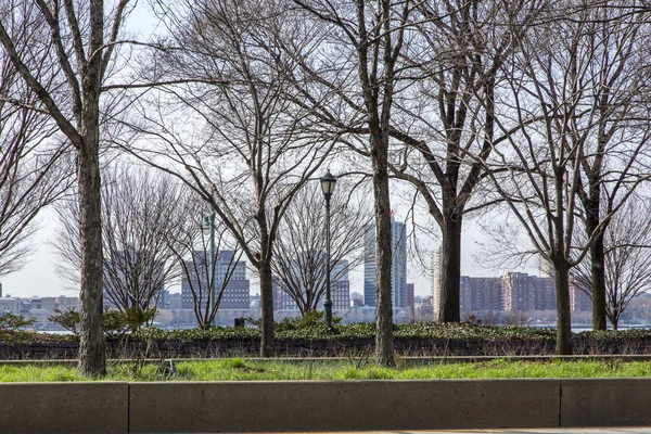 New York, ABD, 9 Mart 2016 üzerinde. Kentsel görünümü. Parkta ağaçların — Stok fotoğraf