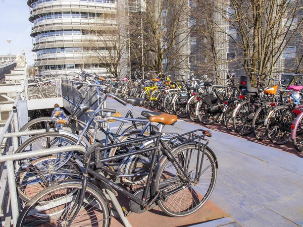 AMSTERDAM, ALANKOMAAT 1. huhtikuuta 2016. Polkupyörän pysäköinti lähellä keskusasemaa — kuvapankkivalokuva