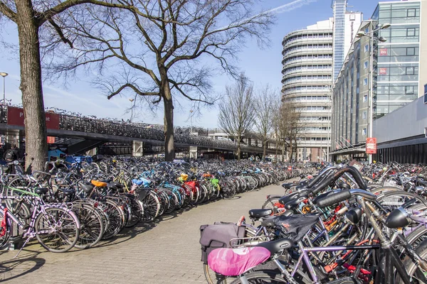 AMESTERDÃO, PAÍSES BAIXOS em 1 de abril de 2016. O estacionamento de bicicletas perto da estação central — Fotografia de Stock