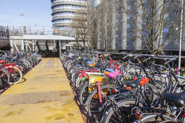 AMSTERDAM, ALANKOMAAT 1. huhtikuuta 2016. Polkupyörän pysäköinti lähellä keskusasemaa — kuvapankkivalokuva