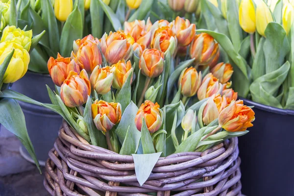 Vente de fleurs. Bouquets de tulipes orange — Photo