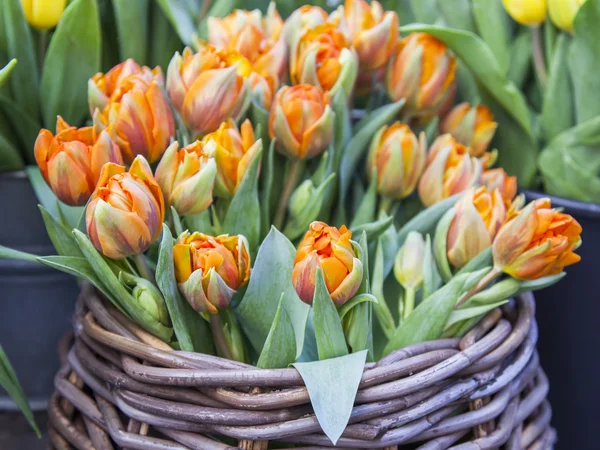 Vente de fleurs. Bouquets de tulipes orange — Photo