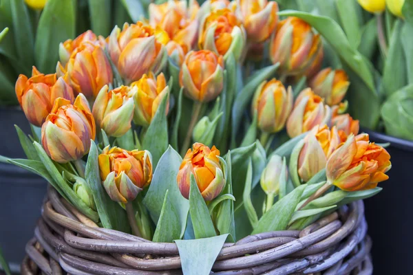 Verkoop van bloemen. Boeketten van Oranje tulpen — Stockfoto