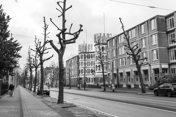 네덜란드 암스테르담, 2016년 3월 27일. 봄 아침의 전형적인 도시 경관. — 스톡 사진
