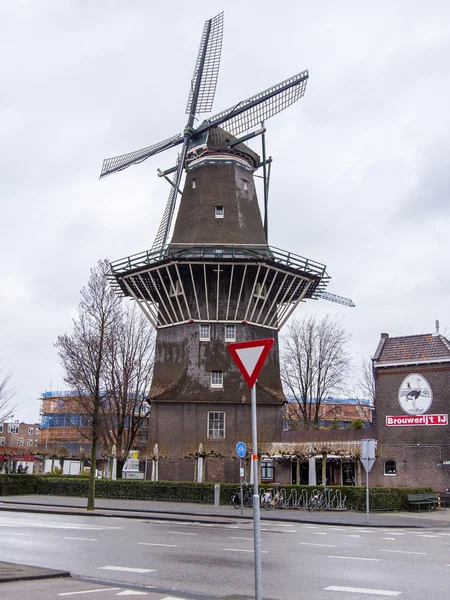 AMSTERDAM, NEDERLAND på MARCH 27, 2016. Typisk bybilde om våren. En gammel mølle på elvebredden Amstel – stockfoto