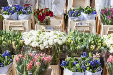 Amsterdam, Hollanda üzerinde 27 Mart 2016. Lale çiçek pazarında çeşitli sınıflar satışı. Çiçek pazarı şehir manzaraları biridir