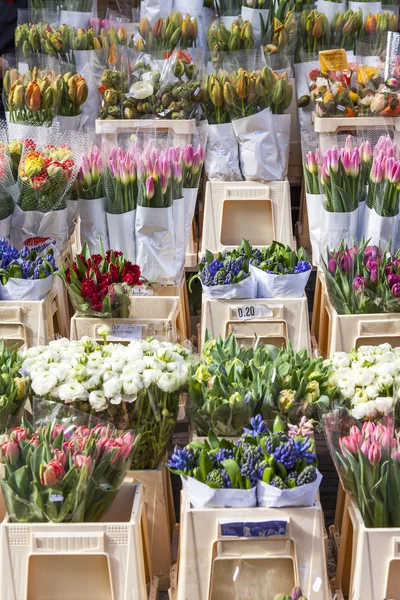 AMSTERDAM, NETHERLANDS on March 27, 2016. Продажа тюльпанов различных сортов на цветочном рынке. Цветочный рынок - одна из достопримечательностей города — стоковое фото