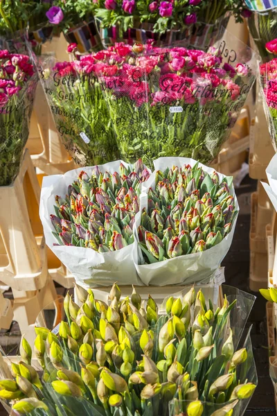 Amsterdam, verkoop van bloemen in de bloemenmarkt. Boeketten van verschillende tulpen — Stockfoto