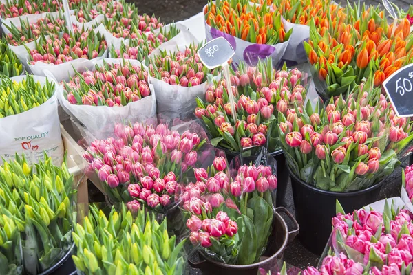 Amsterdam, vente de fleurs au marché aux fleurs. Bouquets de tulipes diverses — Photo