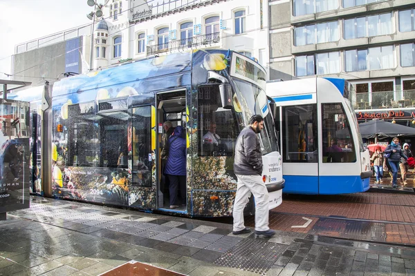 AMSTERDAM, NETHERLANDS on MARCH 27, 2016. Typical urban view in the spring afternoon. The tram moves down the street — Stock Photo, Image