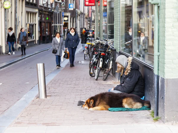 Amsterdam, Nederland op 27 maart 2016. Stad landschap. Dakloze man en zijn hond — Stockfoto