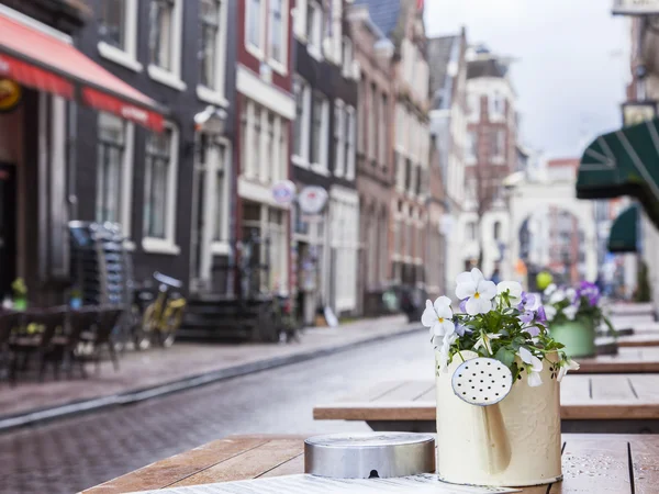 Amsterdam, Hollanda üzerinde 28 Mart 2016. Bahar akşam tipik kent görünümünde. Yaz Kafe'nin kaldırımda küçük tablolar.