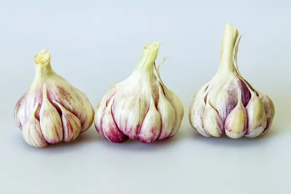 Cabezas de ajo fresco en una mesa de cocina — Foto de Stock