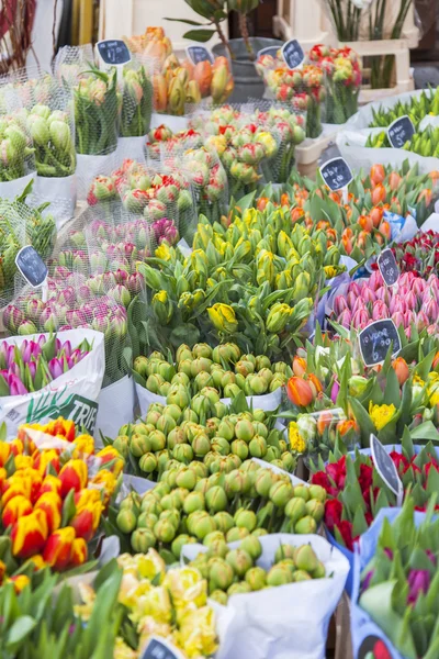 AMSTERDAM, NETHERLANDS on MARCH 31, 2016. Various Dutch tulips on a show-window of the Flower Market — Stock Photo, Image