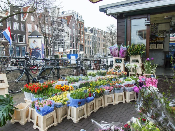 Amsterdam, Hollanda üzerinde 31 Mart 2016. Bir gösteri pencere çiçek pazarı üzerinde çeşitli Hollanda Lale — Stok fotoğraf