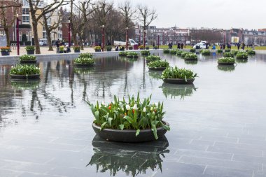 Amsterdam, Hollanda üzerinde 31 Mart 2016. Kentsel görünümü. Çeşme Müzesi meydanında Çiçeklik Lale ile süslenmiş. Turistler iyi eğlenceler.