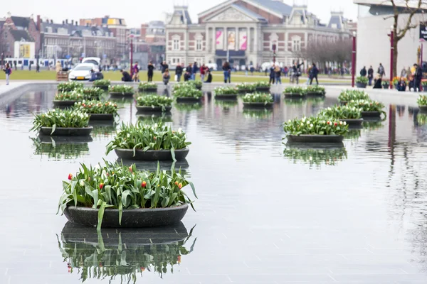 Άμστερνταμ, Ολλανδία στις 31 Μαρτίου 2016. Αστική προβολή. Το συντριβάνι στην πλατεία των μουσείων διακοσμημένη με γλάστρες με τουλίπες. Οι τουρίστες έχουν μια καλή στιγμή. — Φωτογραφία Αρχείου