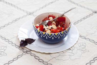 Taze domates salatası ve peynir mozzarella 