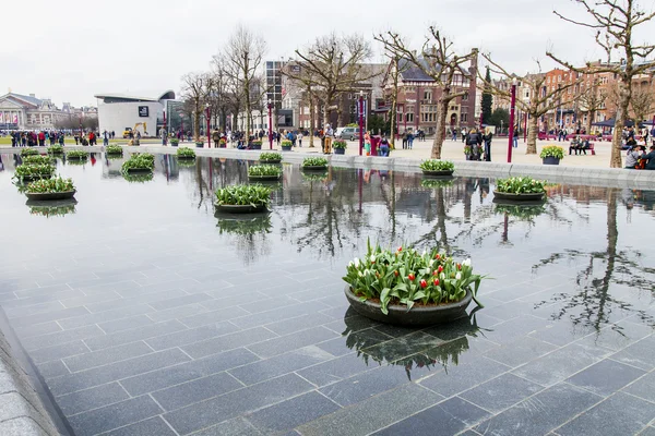 Amsterdam, Nizozemsko na 31 březnu 2016. Muzejní náměstí. Rijksmuseum. Turisté mají dobrý čas poblíž nápis I Amsterdam. Fontány zdobené květináče s tulipány — Stock fotografie