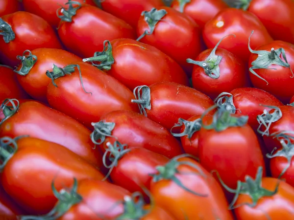 Rajčata na trhu čítač — Stock fotografie