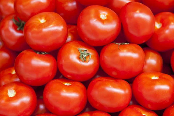 Ripe red tomatoes on a counter of shop — Stock Photo, Image