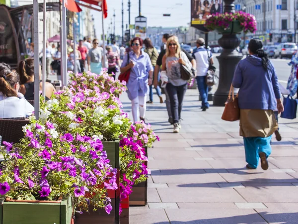 ST. PETERSBURG, RUSIA, 18 de agosto de 2016. Vista urbana. Soportes de flores con flores en Nevsky Avenue —  Fotos de Stock