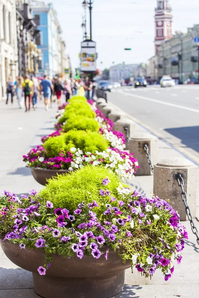 St. Petersburg, Rosja, 18 mar 2016. Ulica widok. Kwiat Stoiska z kwiatami na alei Nevsky Prospekt — Zdjęcie stockowe