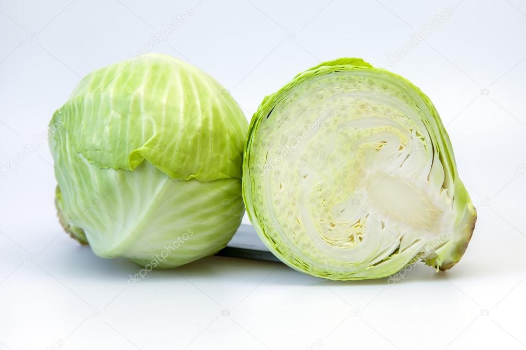Early white cabbage