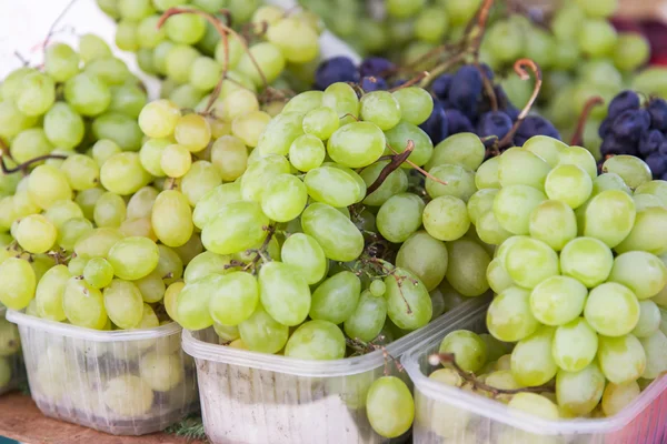   Dükkanın bir sayaçta taze üzüm