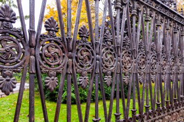 Saint Petersburg, Rusya, 13 Ekim 2020. Yusupov Bahçesi 'nde güzel bir kafes. Yağmurlu hava