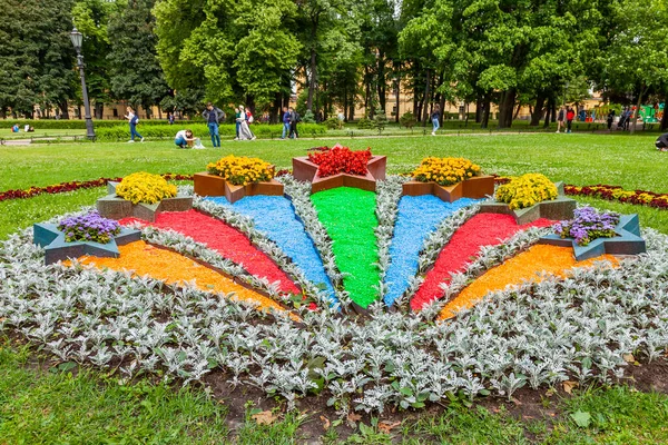 Sankt Petersburg Ryssland Juli 2020 Naturskönt Hörn Allmän Park — Stockfoto