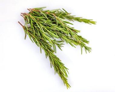 Masada taze biberiye dalları var.