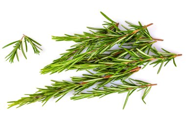 Masada taze biberiye dalları var.