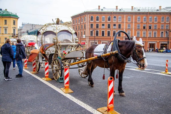 Petersburg Russland Juni 2020 Blick Auf Die Straße Historischen Teil — Stockfoto