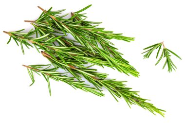 Masada taze biberiye dalları var.