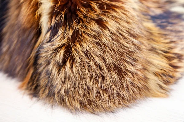 Естественный Мех Красной Лисы Текстура — стоковое фото