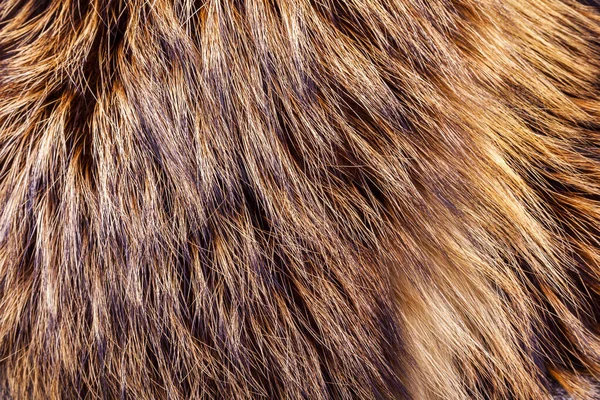 Natuurlijke Vacht Van Een Rode Vos Als Textuur — Stockfoto