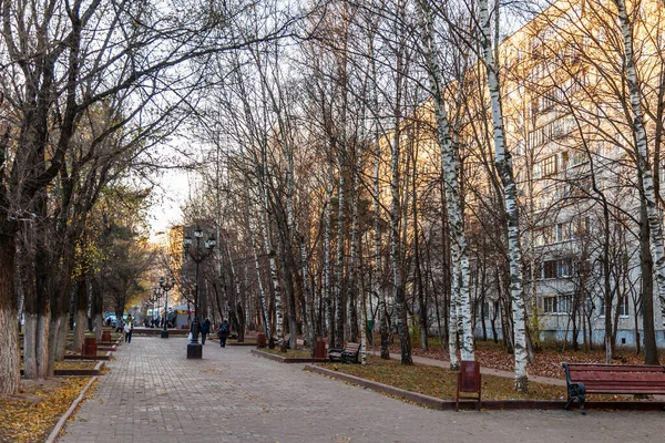 Pushkino Rusland November 2020 Stadsgezicht Herfst Zonsondergang Bomen Boulevard — Stockfoto