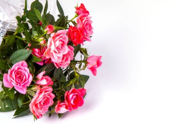 Pembe güllerin güzel çalısı