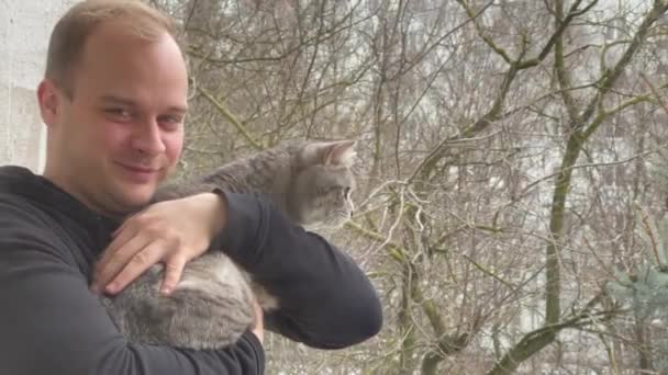 Pushkino Russia Dicembre 2020 Giovane Uomo Tiene Braccio Gatto Grigio — Video Stock