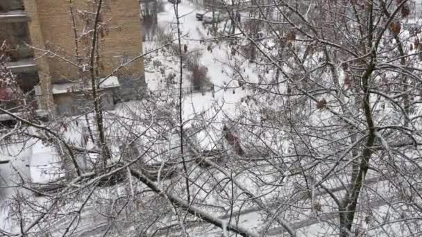 Pushkino, Russia, January 2, 2021. View from the window of a snow-covered street and a parking lot in a residential area. Snowing. — 图库视频影像