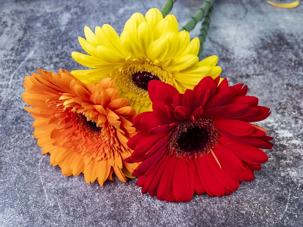 Strauß Verschiedener Gerber Auf Einem Schaufenster Des Blumengeschäfts — Stockfoto