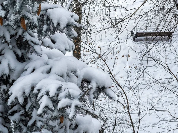 2021年1月2日 俄罗斯普希金诺 从白雪覆盖的林荫大道上的树窗往外看 Snowing — 图库照片